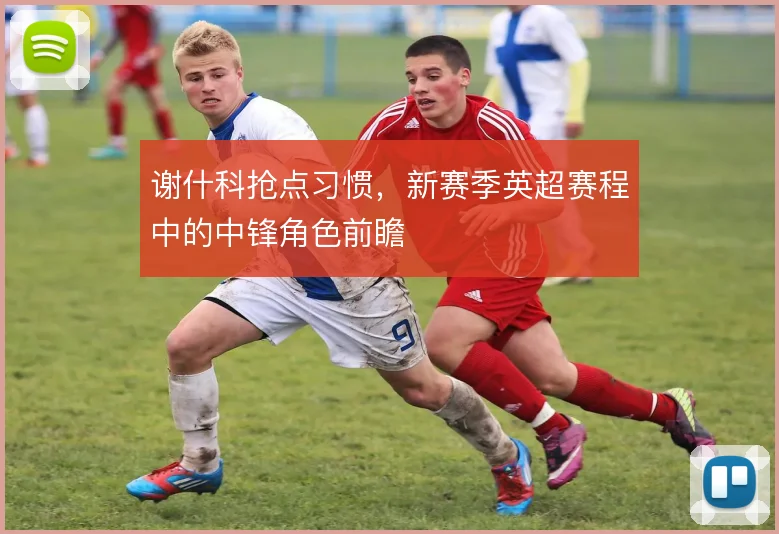 谢什科抢点习惯，新赛季英超赛程中的中锋角色前瞻